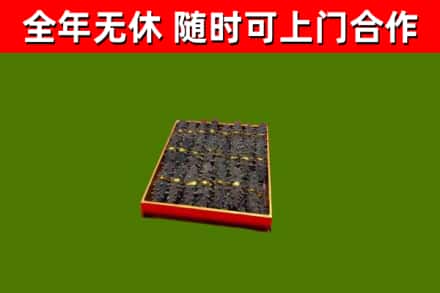 白河县回收海参